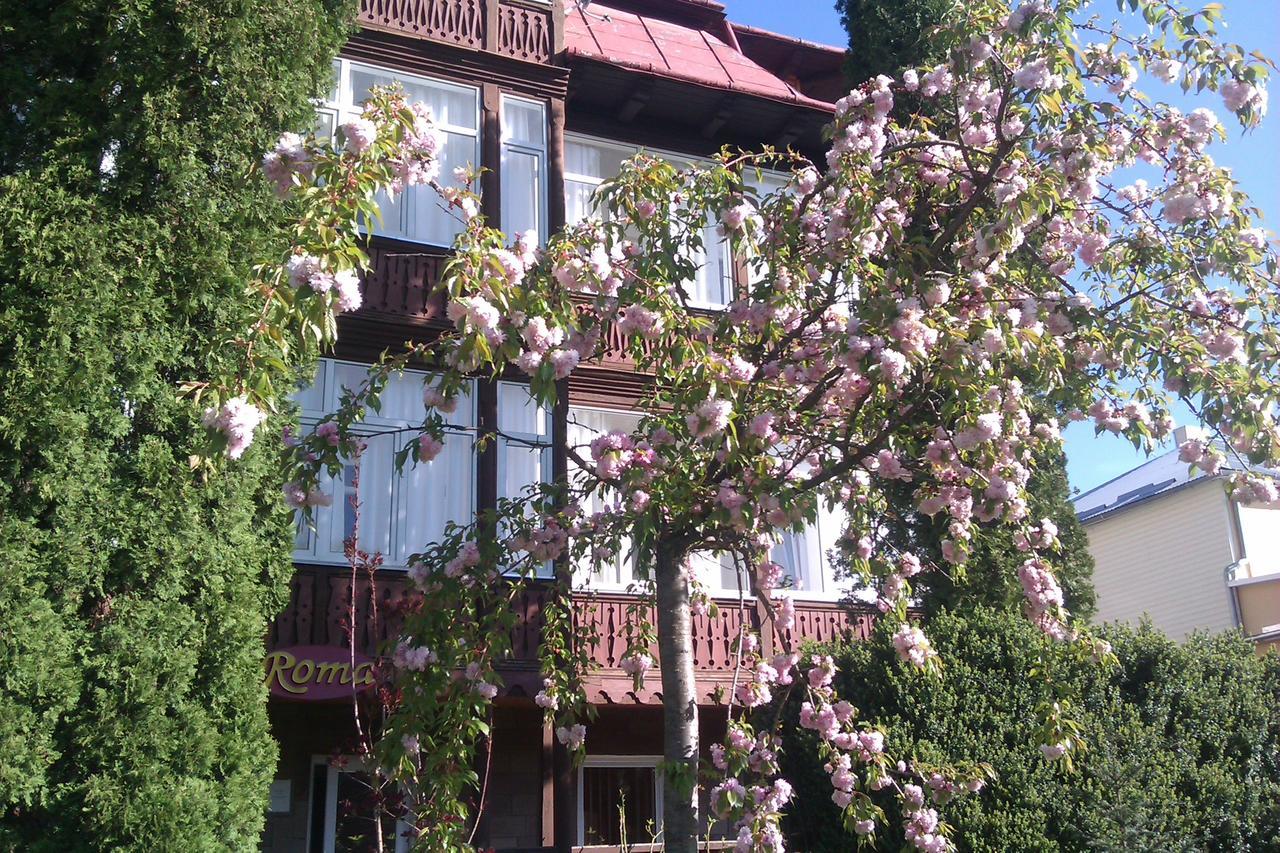 Сонячна Hotel Truskavets Exterior photo